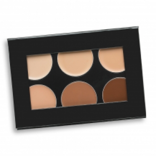 Mehron Celebre Pro HD Conceal-It Palette