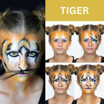 Mehron Feline Professional Makeup Kit